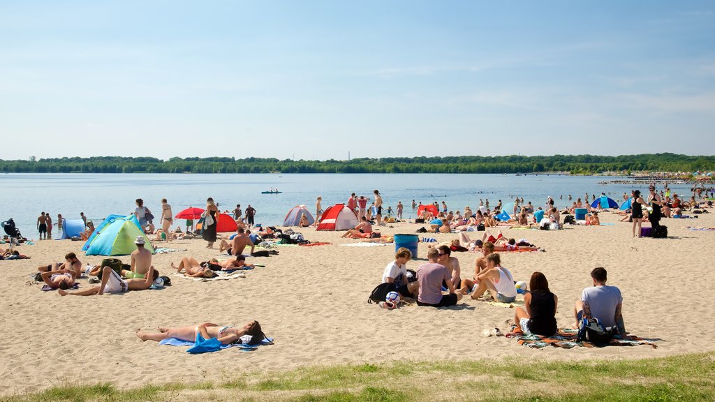 Cospudener See mettant en vedette une plage de sable aussi bien que un grand groupe de personnes