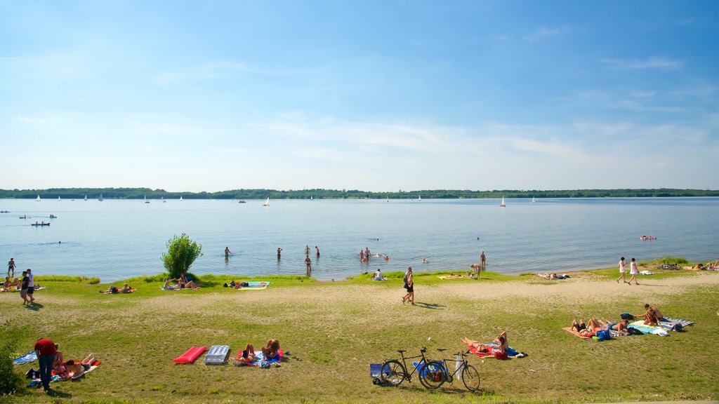 Cospudener Lake which includes a lake or waterhole as well as a large group of people