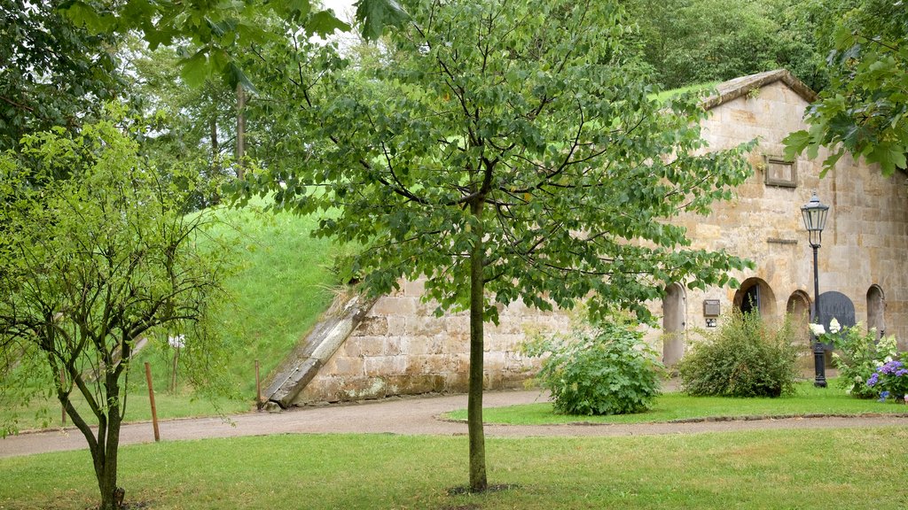 Fortaleza de Königstein mostrando elementos patrimoniales