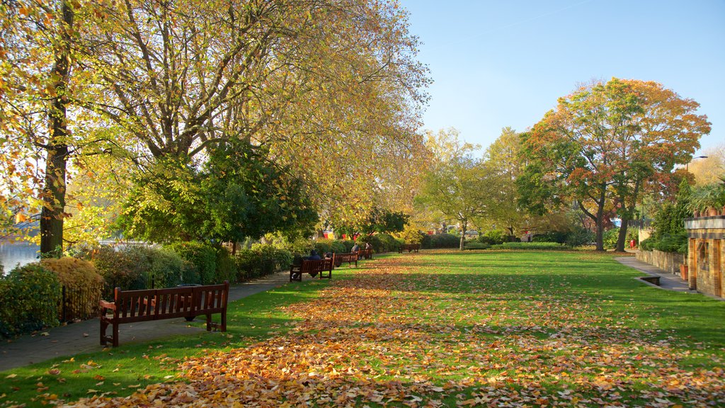 Little Venice which includes a park and autumn leaves