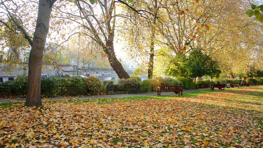 Little Venice que incluye un parque y hojas de otoño