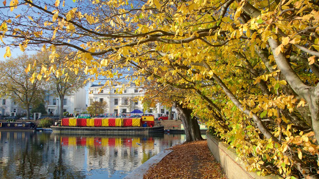 Little Venice showing a river or creek, boating and autumn colours