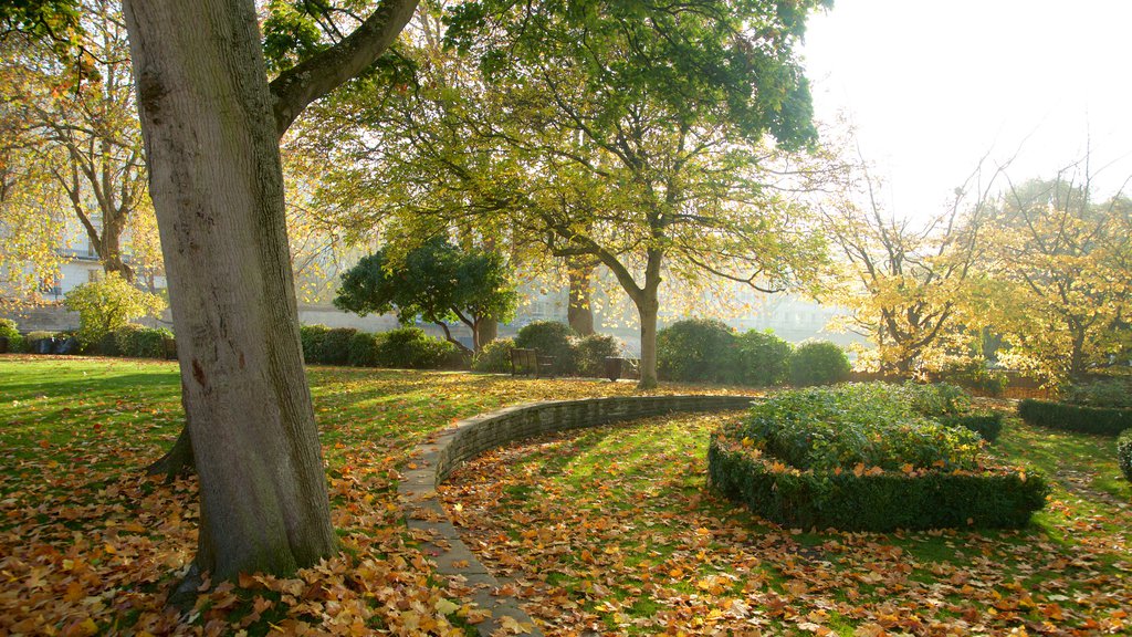 Little Venice which includes a park and autumn leaves