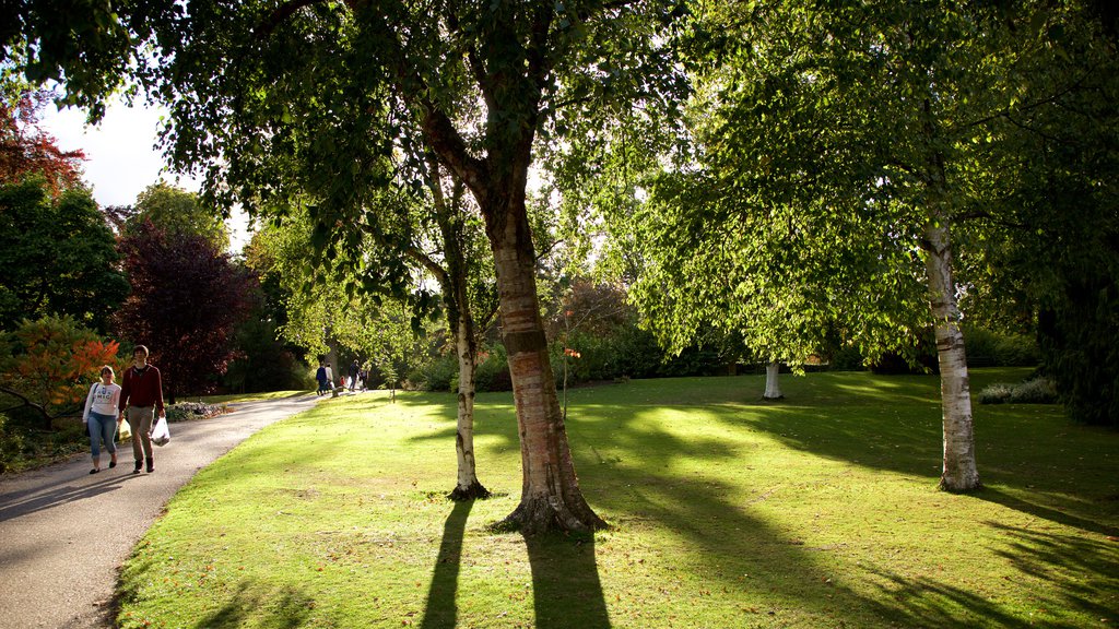 Sheffield Botanical Gardens showing a garden as well as a couple