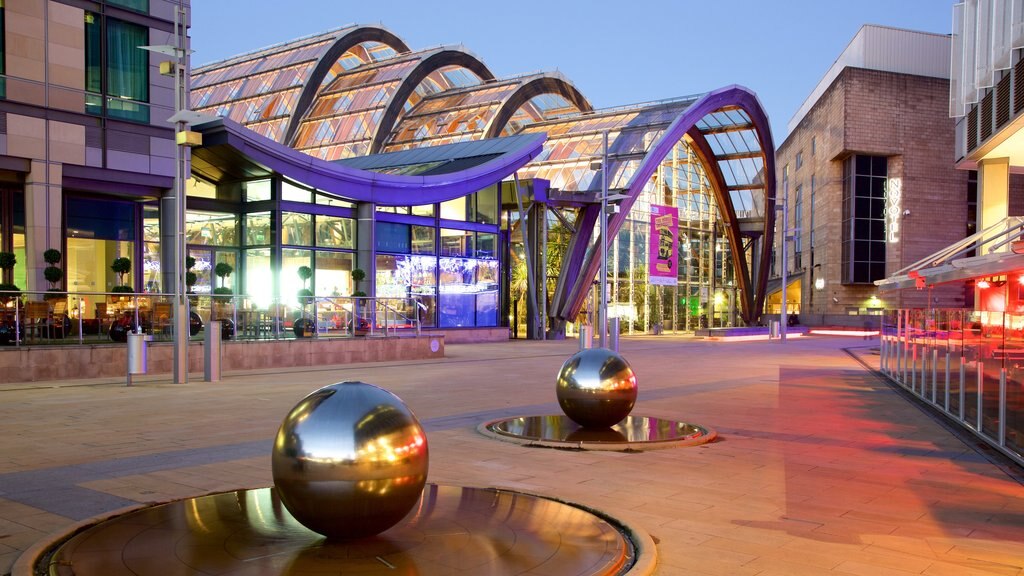 Sheffield Winter Garden which includes modern architecture and outdoor art