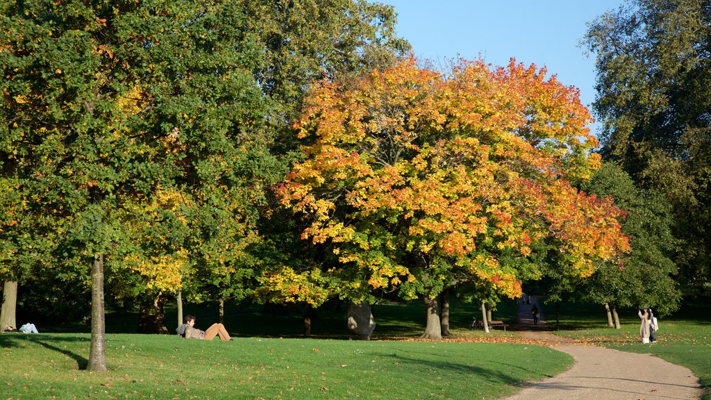 Hyde Park mettant en vedette jardin