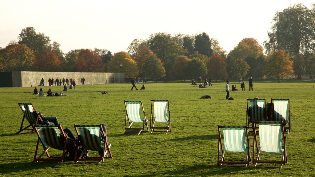 Hyde Park showing a park as well as a small group of people