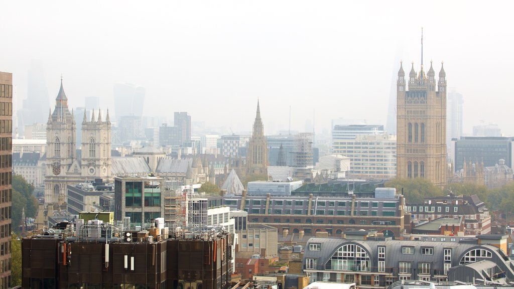 Houses of Parliament showing heritage architecture, mist or fog and a city