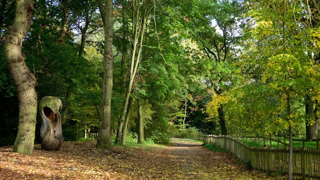 Holland Park que inclui um parque