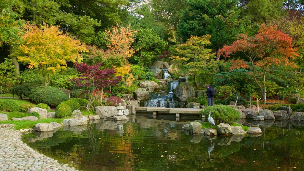 Holland Park showing a park, a waterfall and a pond