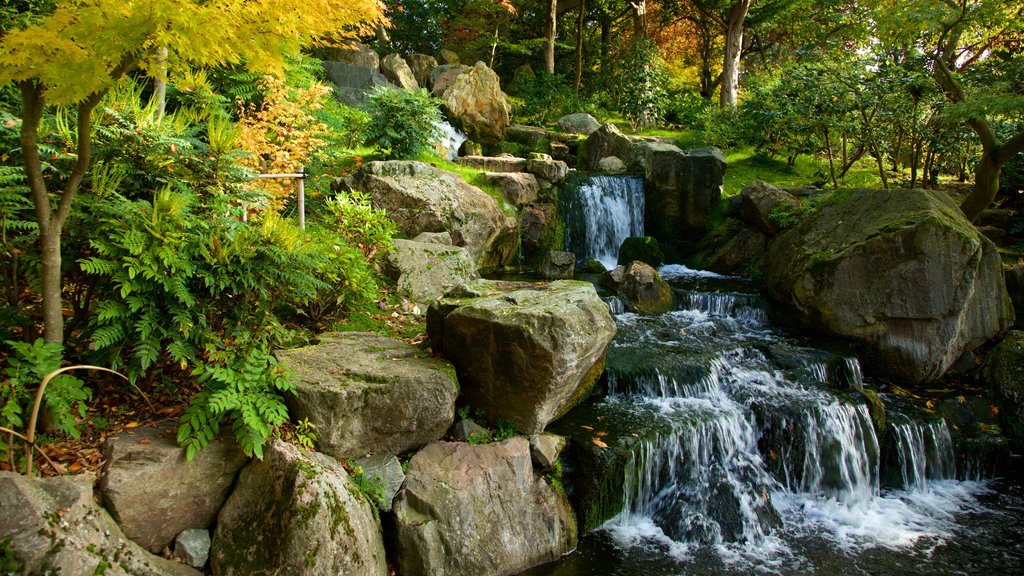 Holland Park mostrando um jardim e uma cachoeira