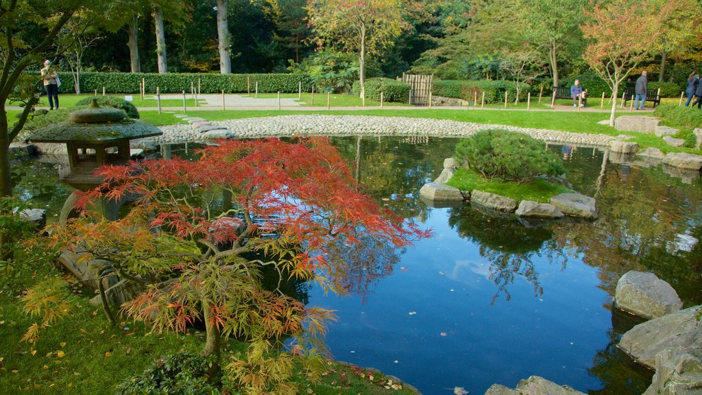 Holland Park som visar en trädgård och en damm