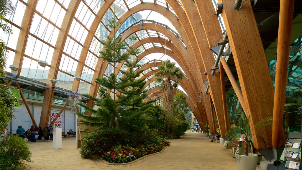 Sheffield Winter Garden showing a garden and interior views