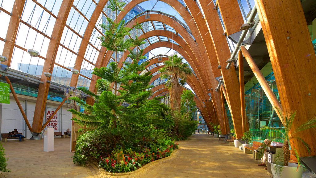 Sheffield Winter Garden showing a park and interior views