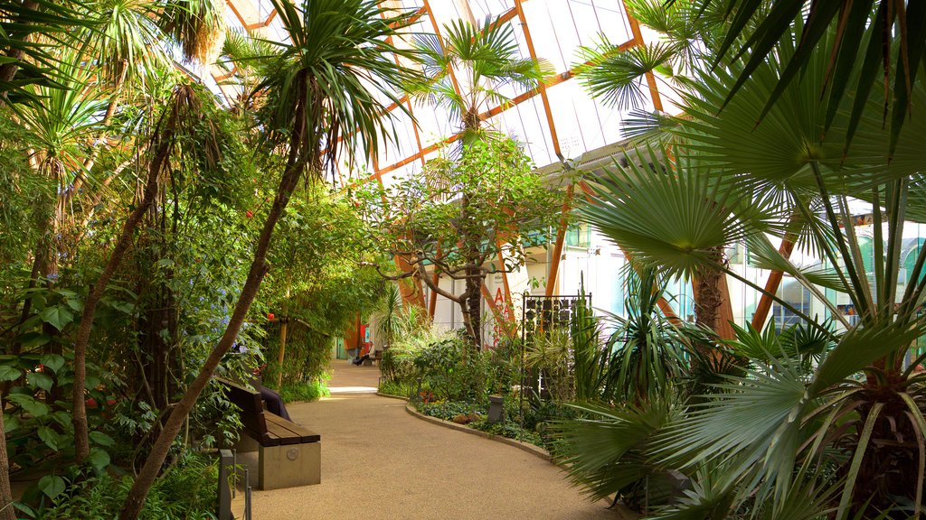 Sheffield Winter Garden showing a park and interior views