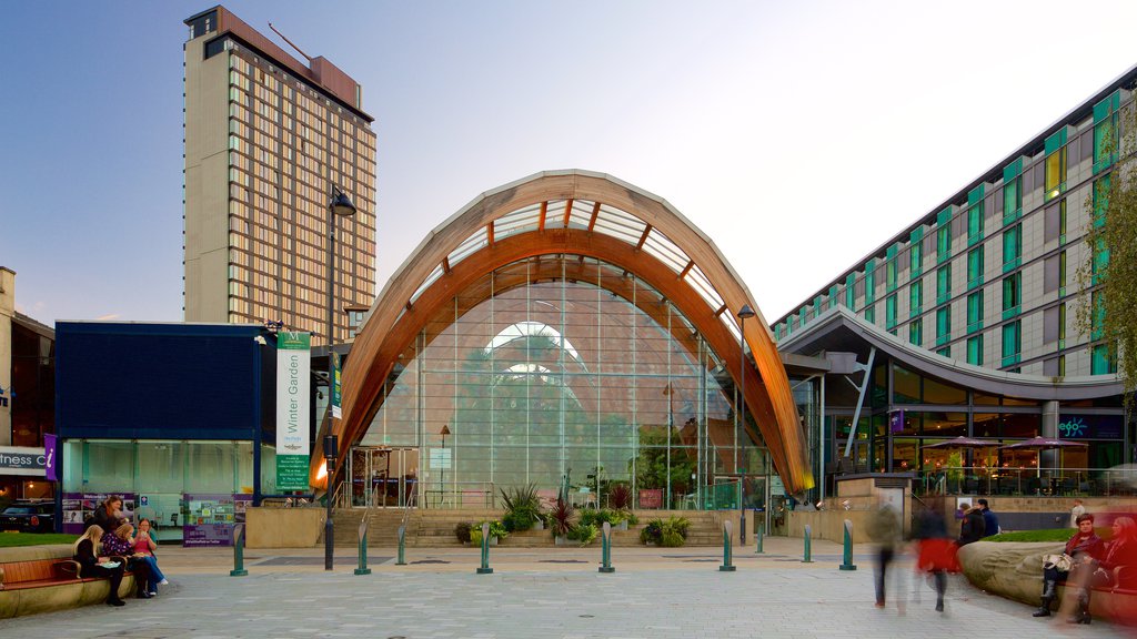 Sheffield Winter Garden showing a city, modern architecture and a garden