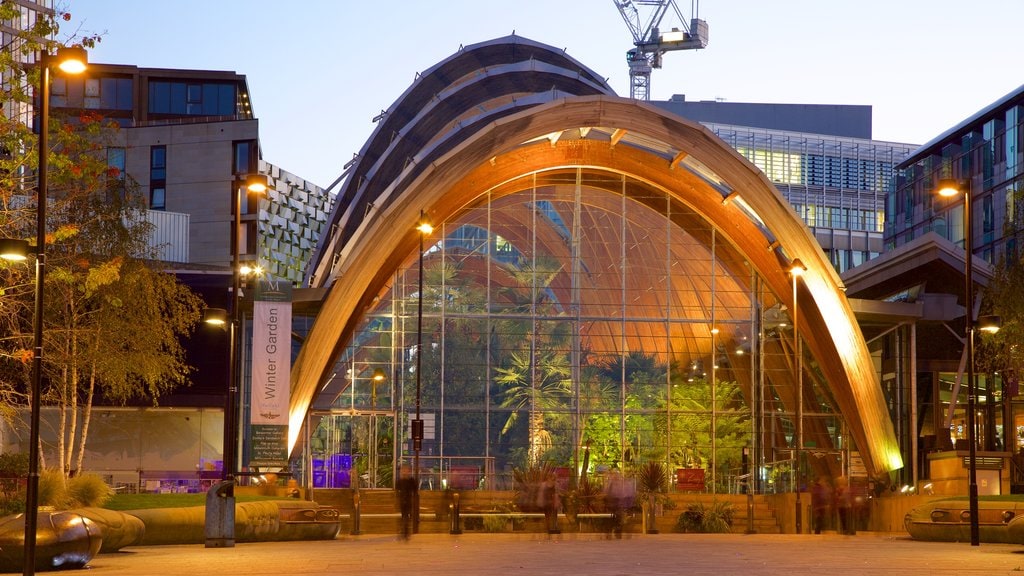 Sheffield Winter Garden which includes modern architecture, night scenes and a garden