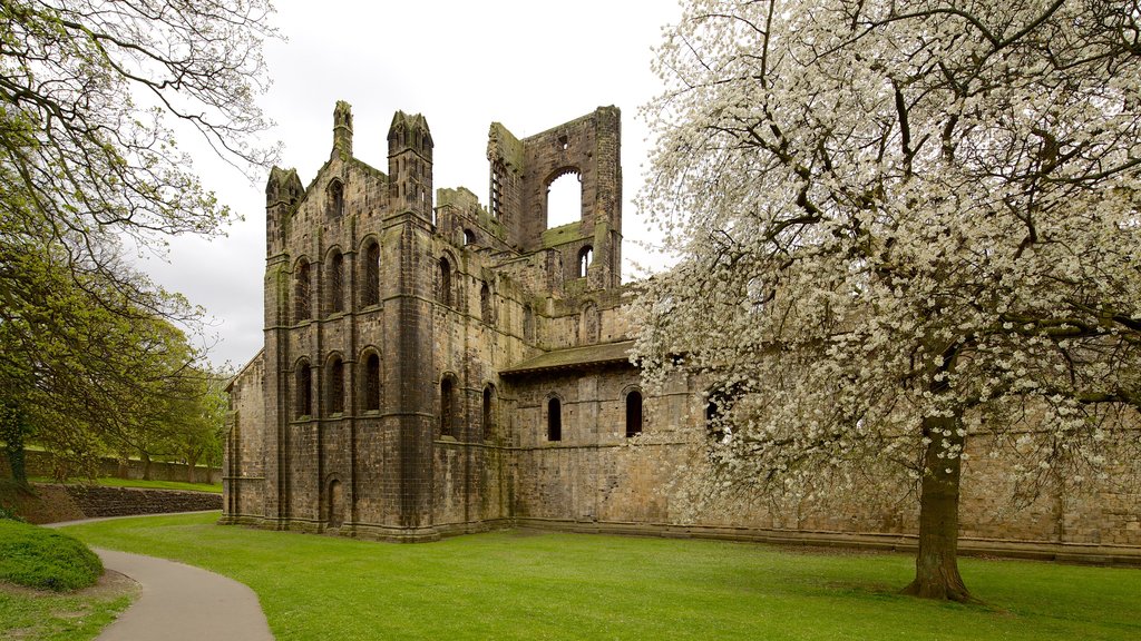 Kirkstall Abbey featuring building ruins, heritage elements and a church or cathedral