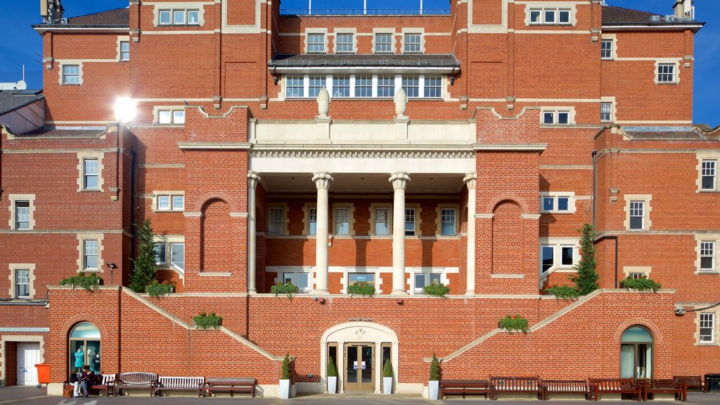 Kennington Oval toont historische architectuur