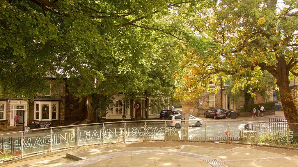 Weston Park Museum showing signage