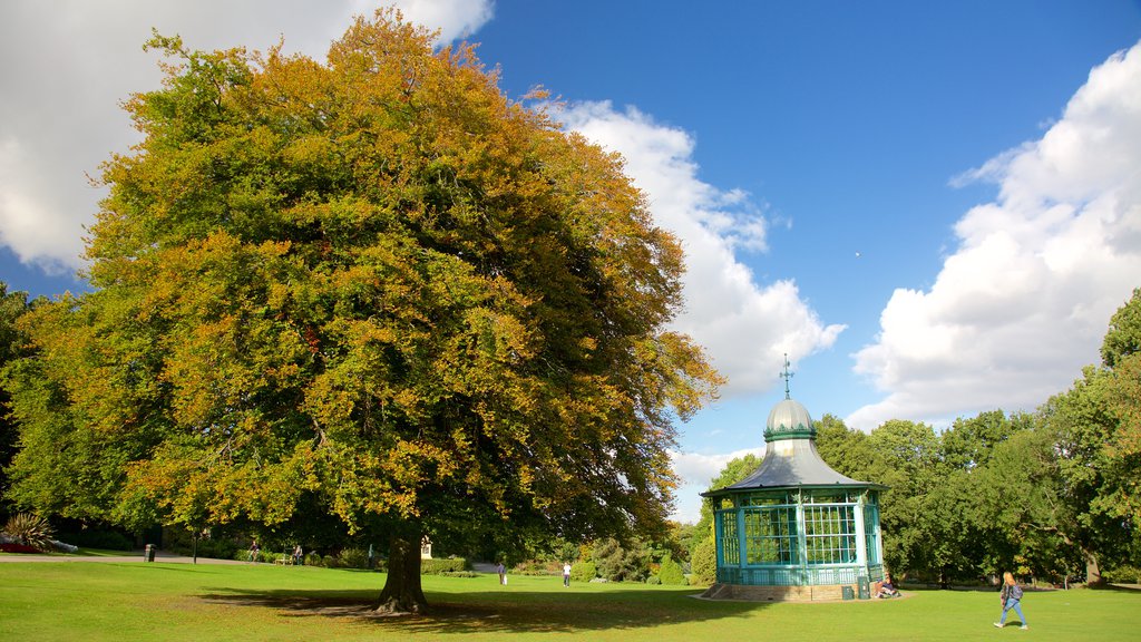 Weston Park Museum som viser en have