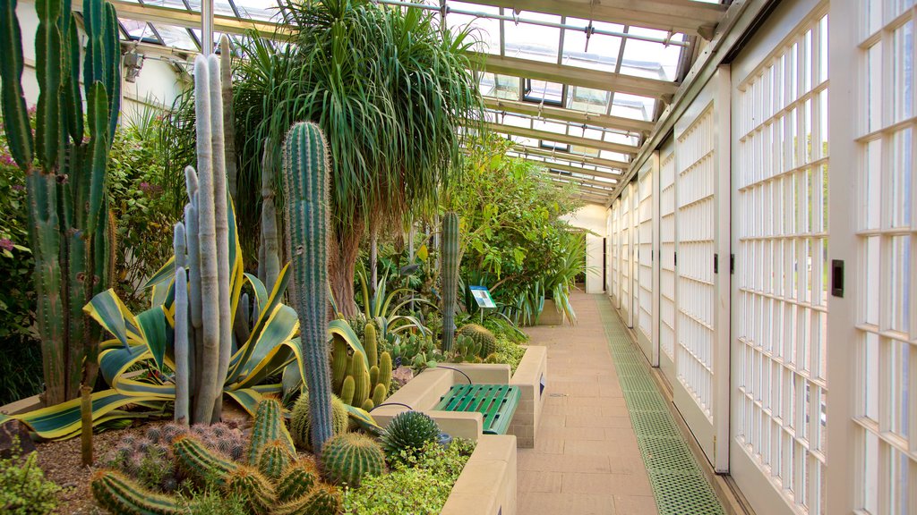 Sheffield Botanical Gardens which includes a garden and interior views