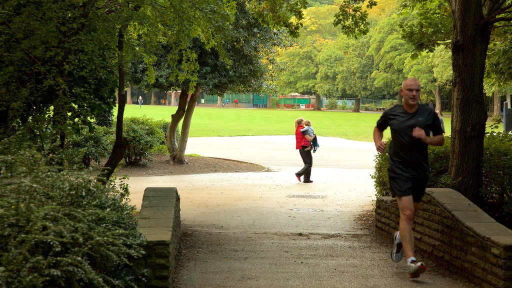 Endcliffe Park featuring a bridge and a garden as well as an individual male