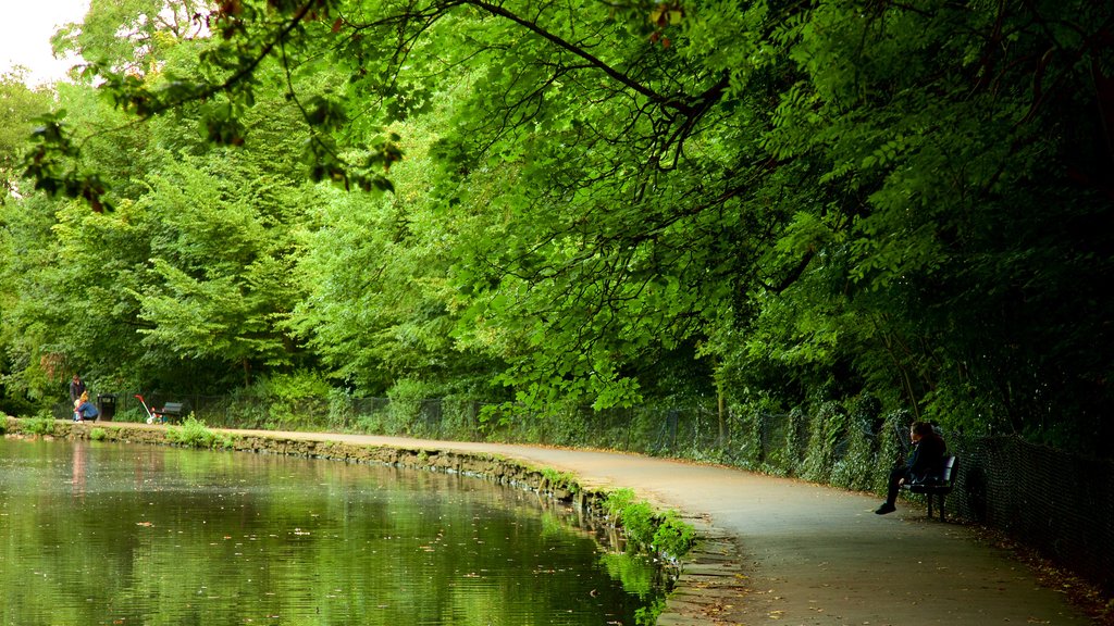 Endcliffe Park showing a pond and a garden