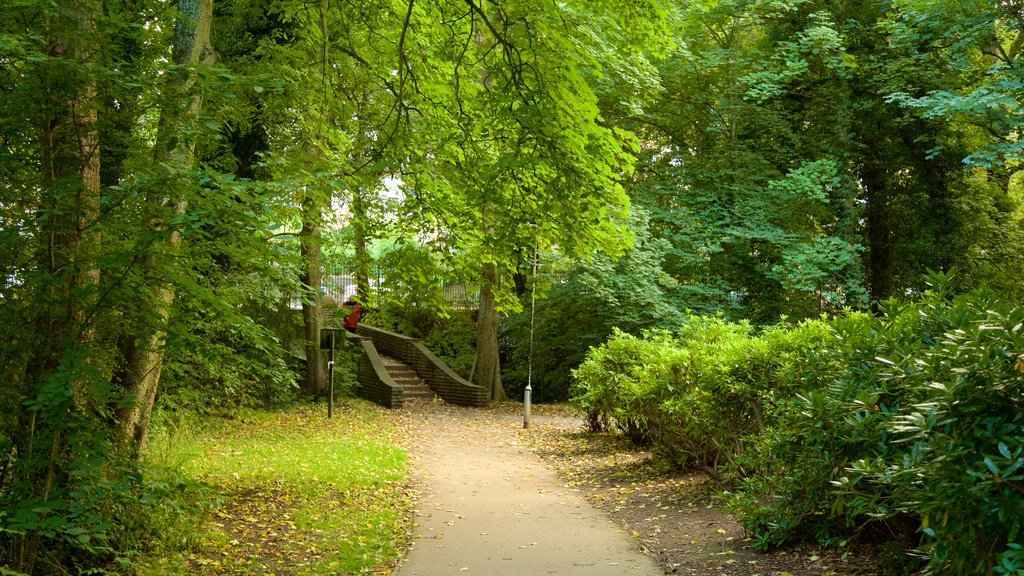 Endcliffe Park mostrando um jardim