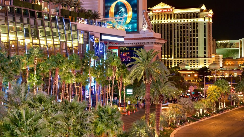 Las Vegas showing signage, night scenes and street scenes