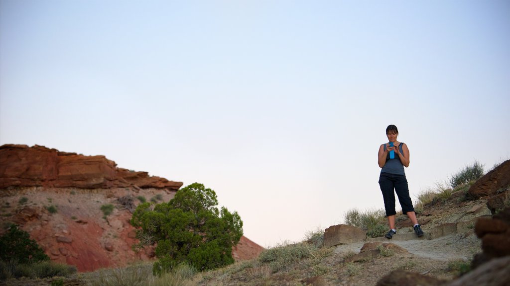 Parc national de Capitol Reef qui includes coucher de soleil, vues du désert et scènes tranquilles