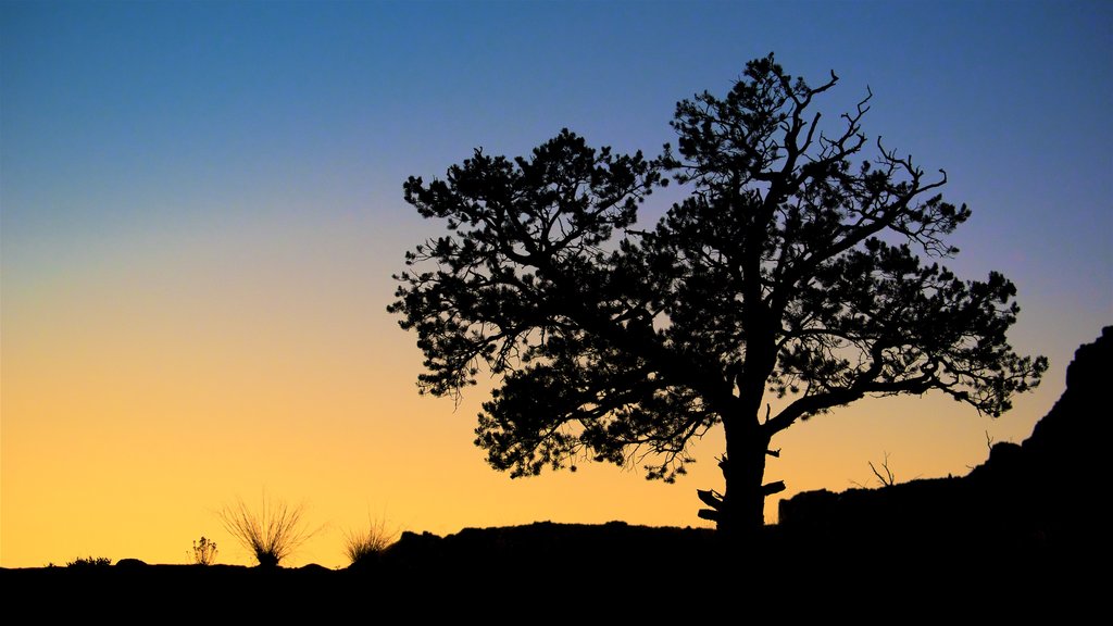 Central Utah which includes tranquil scenes, a sunset and desert views