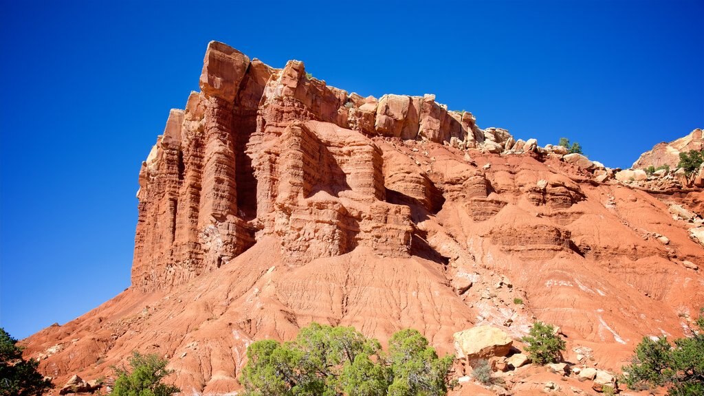 Capitol Reef National Park showing tranquil scenes, desert views and a gorge or canyon