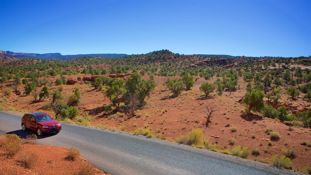 Parc national de Capitol Reef mettant en vedette vues du désert, scènes tranquilles et visite en voiture