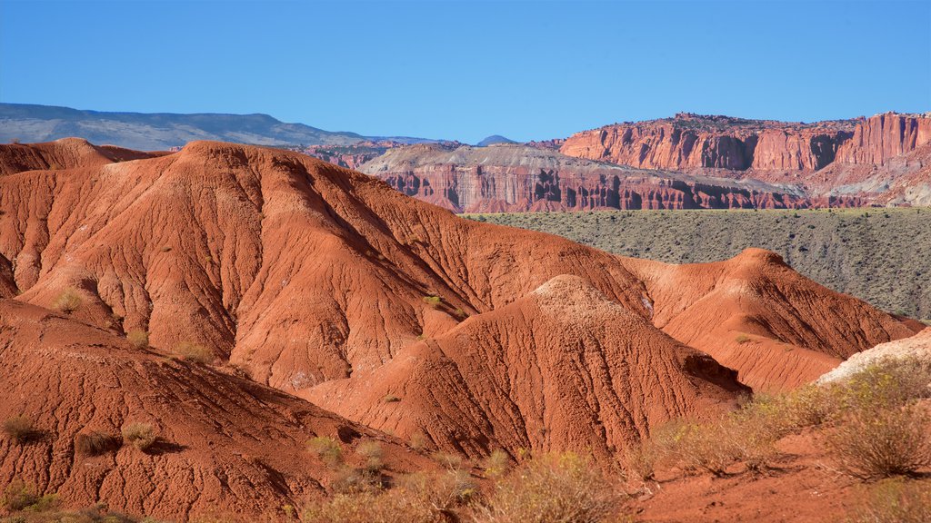 Capitol Reef National Park featuring desert views, tranquil scenes and a gorge or canyon