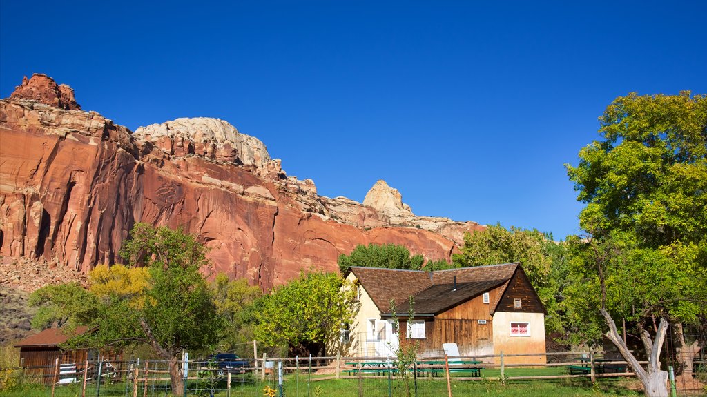 Capitol Reef National Park bevat vredige uitzichten, woestijnen en een huis