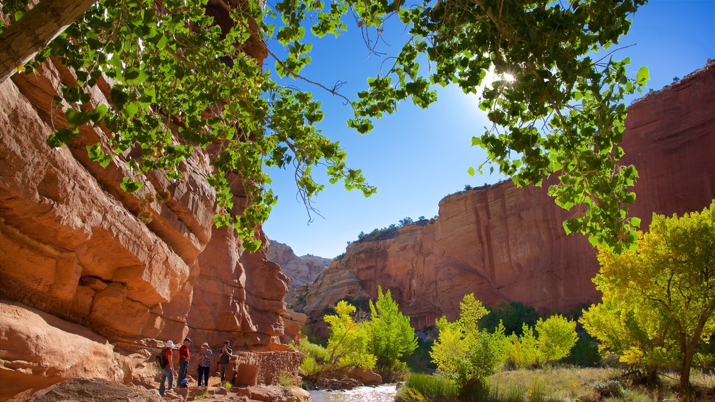 Centraal-Utah inclusief woestijnen, vredige uitzichten en een kloof of ravijn