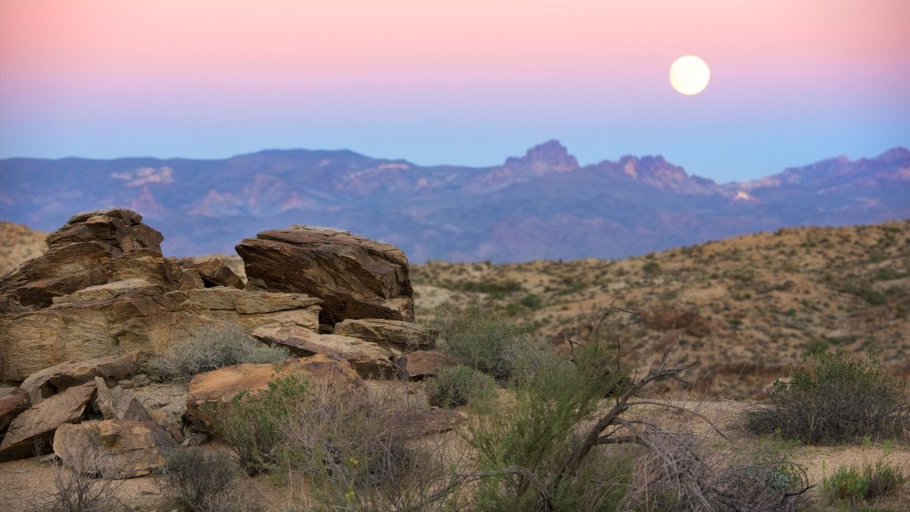 Nevada inclusief een zonsondergang en woestijnen