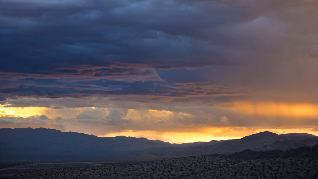 Nevada showing desert views, a sunset and northern lights