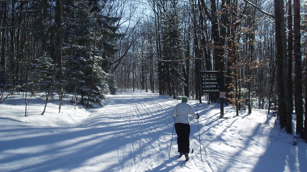 Ellicottville mostrando cenas de floresta, esqui na neve e neve