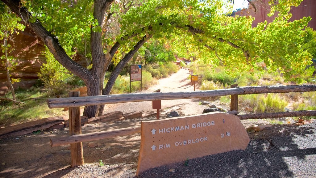 Torrey showing tranquil scenes and signage