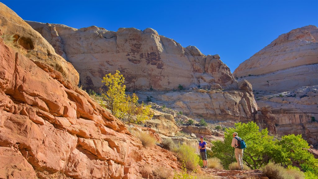 Torrey que incluye un barranco o cañón, escenas tranquilas y vistas al desierto