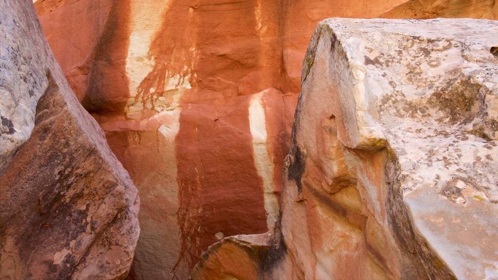 Torrey showing tranquil scenes and desert views