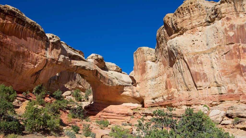 Torrey which includes tranquil scenes and desert views