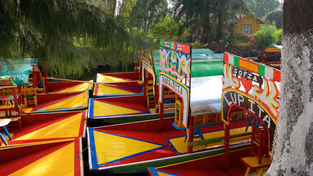 Xochimilco que incluye botes