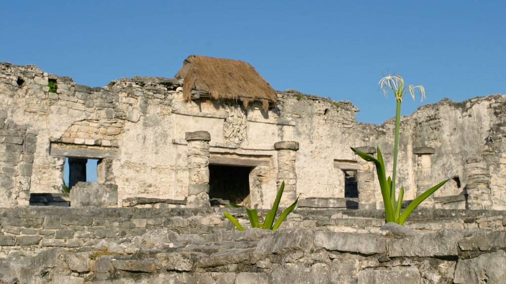 Tulum mostrando patrimonio de arquitectura y elementos del patrimonio