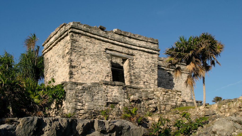 Tulum which includes tropical scenes and heritage elements