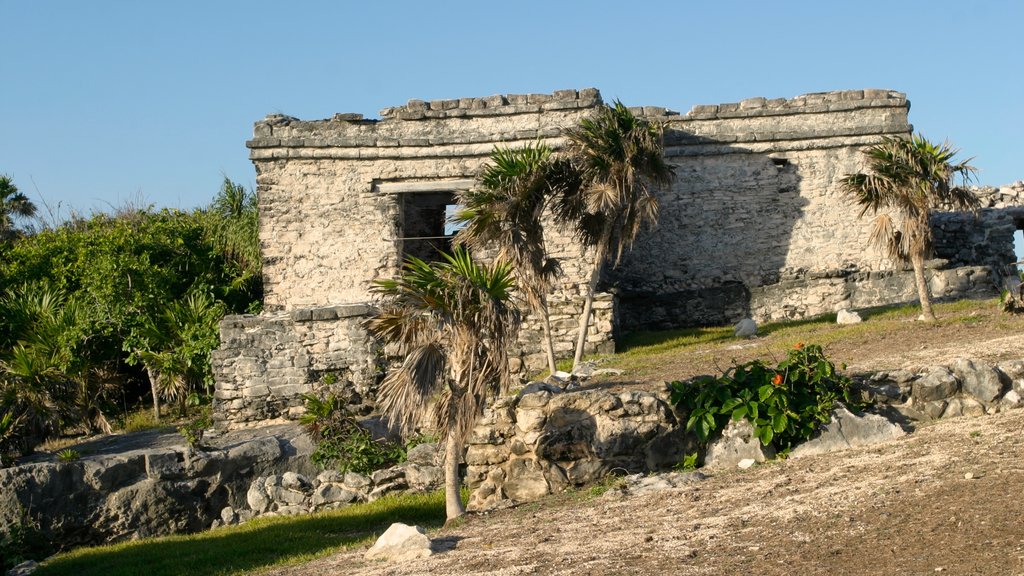 Tulum showing heritage elements and tropical scenes