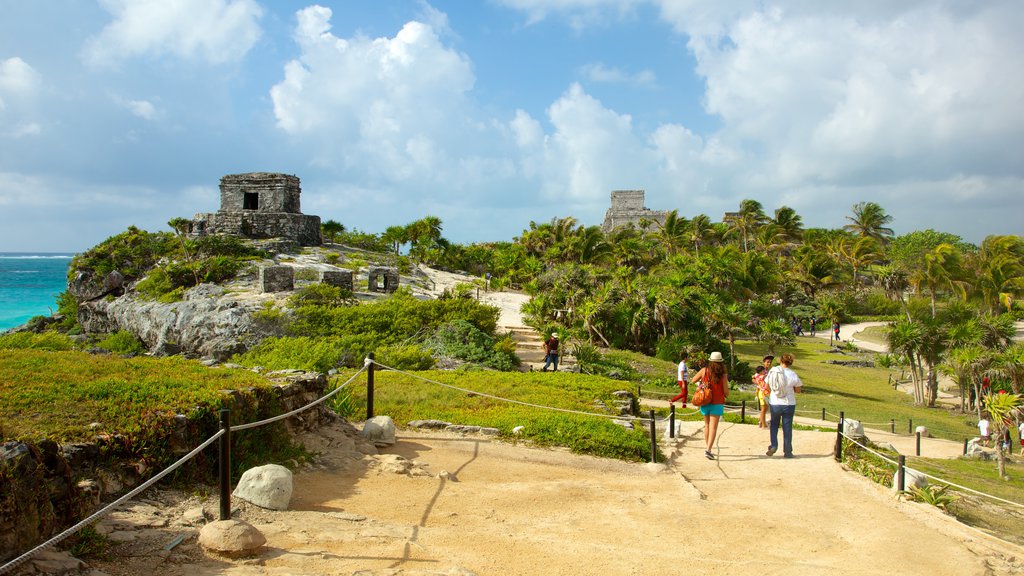 Tulum featuring landscape views, tropical scenes and heritage elements