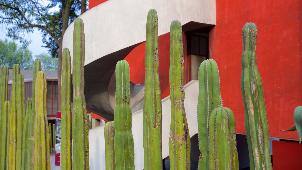 Museo Casa Estudio Diego Rivera y Frida Kahlo